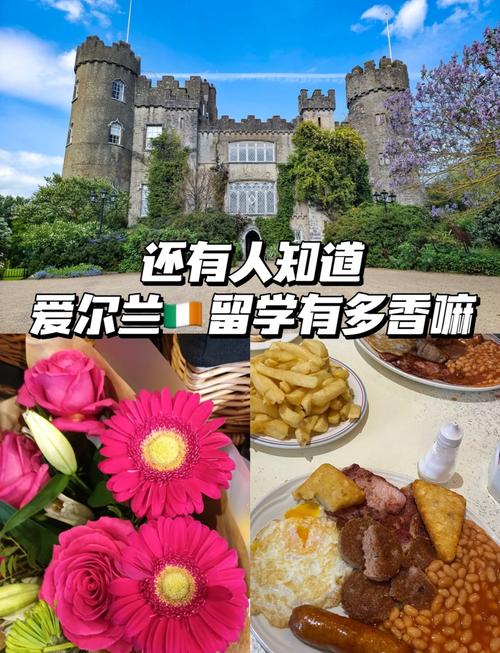 爱尔兰留学︱都柏林城市大学