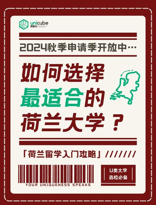 荷兰商科留学需要哪些条件