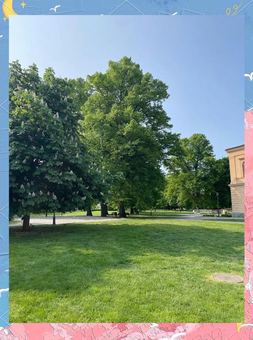 留学瑞典的利弊是什么? 留学瑞典的利弊是什么?