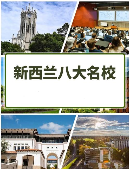 干货| 国内大专毕业生去新西兰留学如何选择?