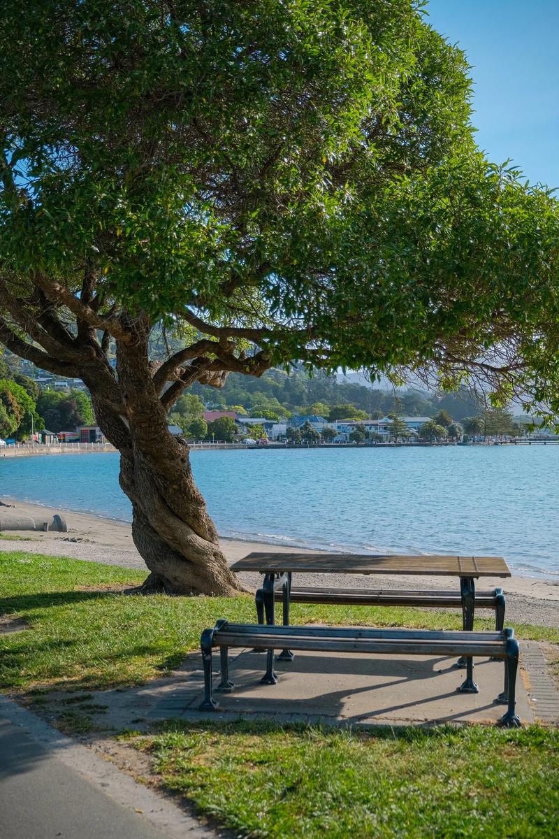 干货| 国内大专毕业生去新西兰留学如何选择?