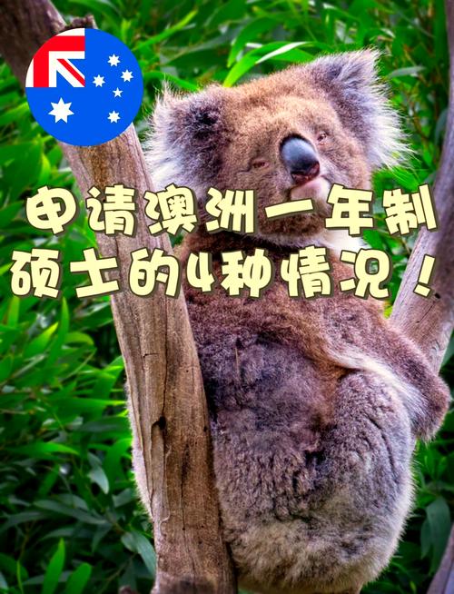 澳洲留学不适应无法毕业后果怎么样?