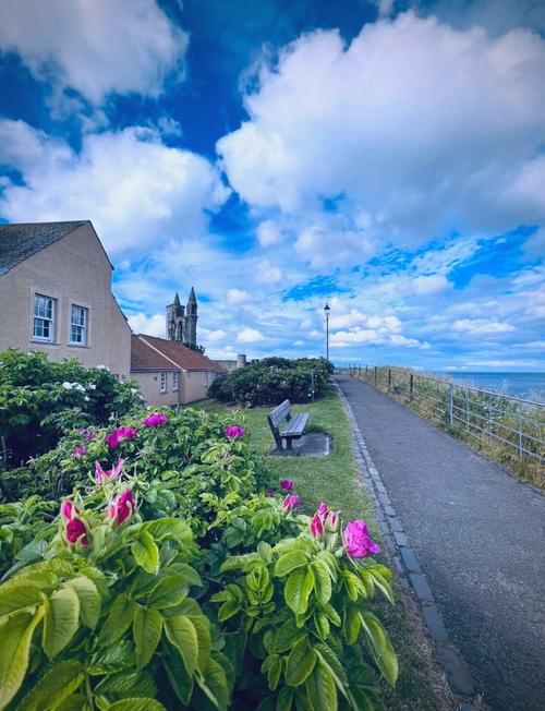 为什么不建议去英国