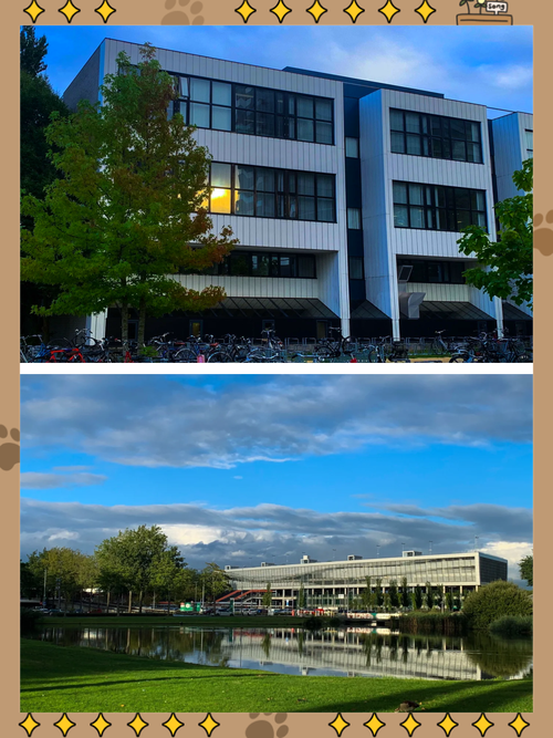 荷兰留学你必须知道的事! 荷兰留学你必须知道的事!