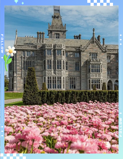 为什么不建议去爱尔兰留学气候恶劣费用高昂,爱尔兰留学 真的好吗_百... 为什么不建议去爱尔兰留学气候恶劣费用高昂,爱尔兰留学 真的好吗_百...