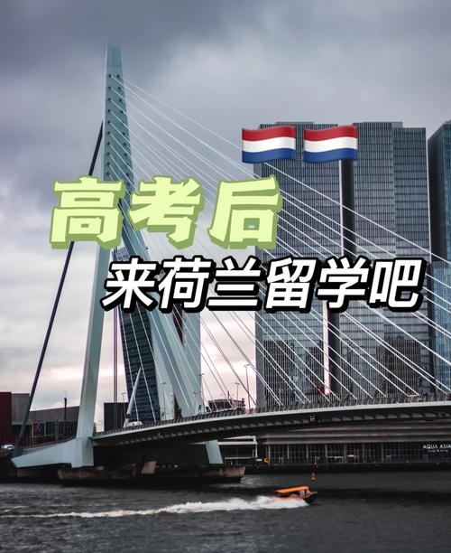 高中、大专、本科在读生,如何申请荷兰本科? 高中、大专、本科在读生,如何申请荷兰本科?