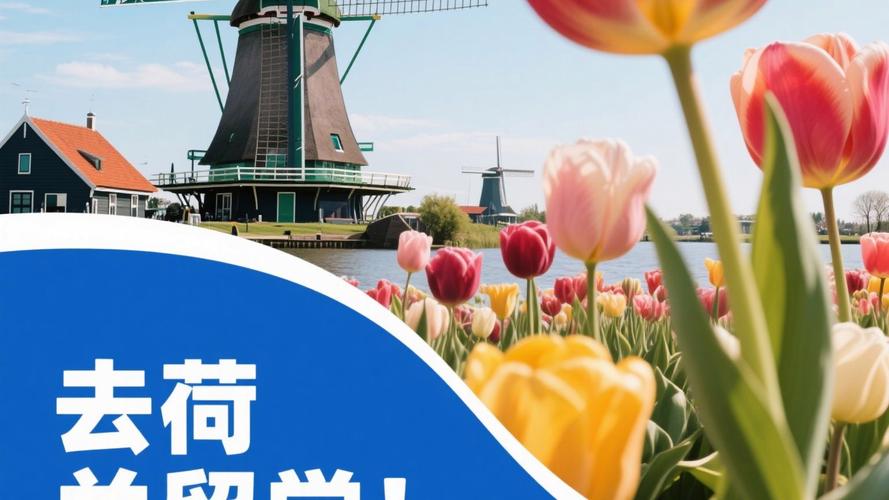 荷兰留学一般需要多少钱,荷兰的生活消费水平怎么样