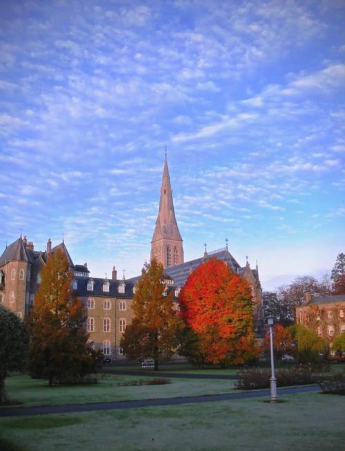 世界500强扎堆!留学爱尔兰就业不用愁!