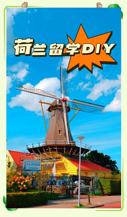 荷兰留学需要什么语言要求 荷兰留学需要什么语言要求