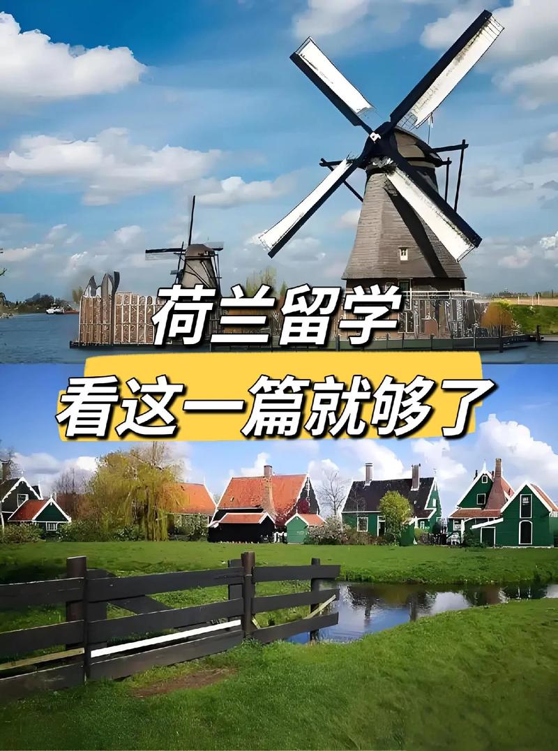 荷兰留学需要什么语言要求 荷兰留学需要什么语言要求