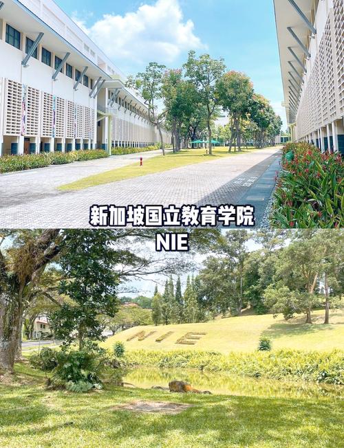 为什么不建议去新加坡留学 为什么不建议去新加坡留学